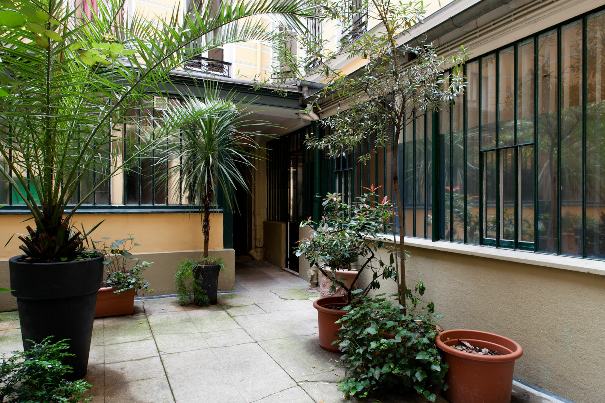 Europea - Beauregard * Paris